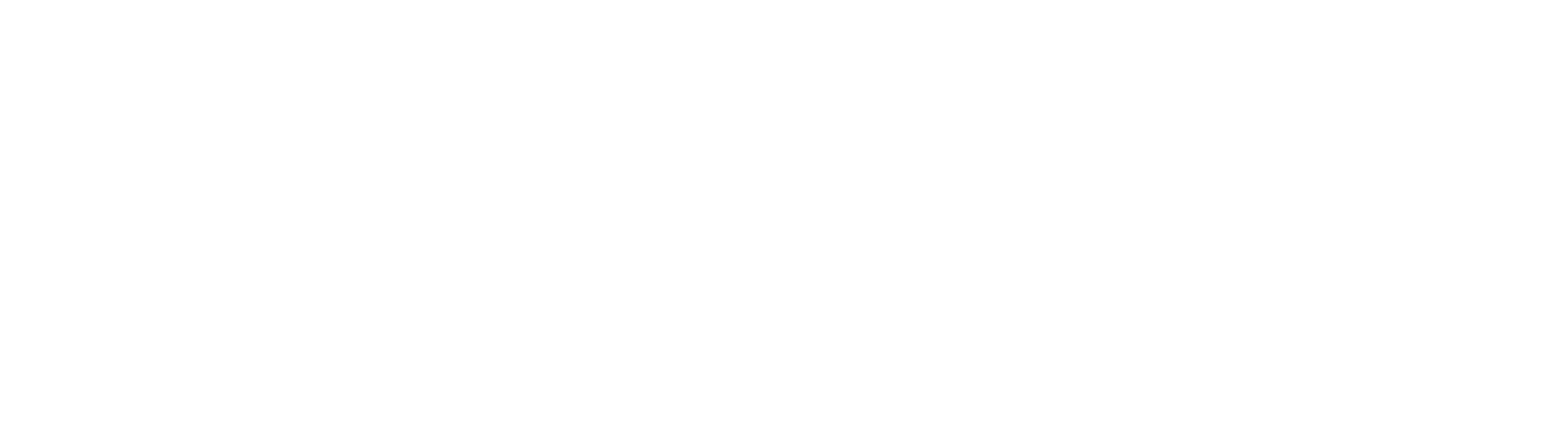 LLMWAVE LLMWAVE